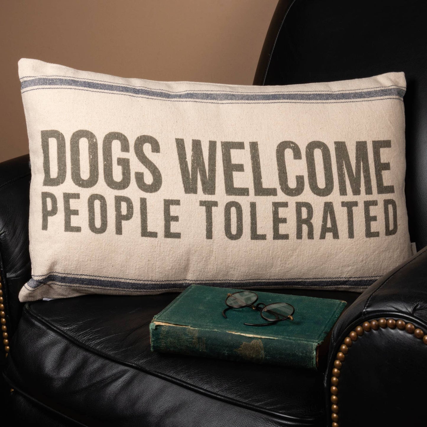 Decorative pillow with 'DOGS WELCOME PEOPLE TOLERATED' text on a black leather couch.
