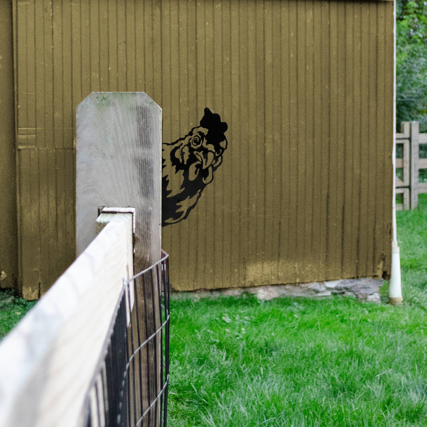 Brown wooden wall with a black silhouette of a horse head, green grass, and a metal gate.