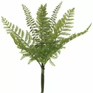 Fern Bush 14"