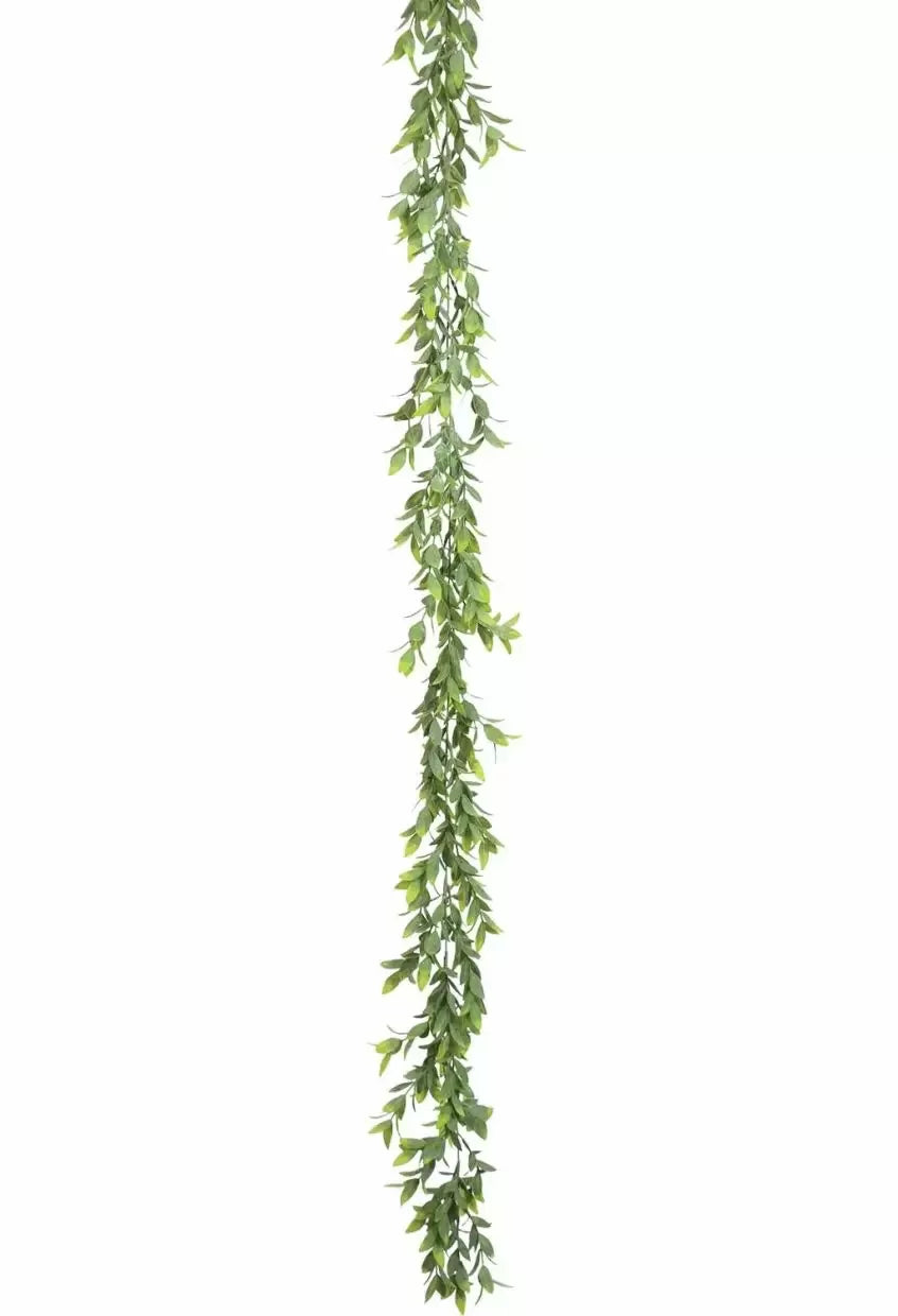Ruscus Garland 6' Green