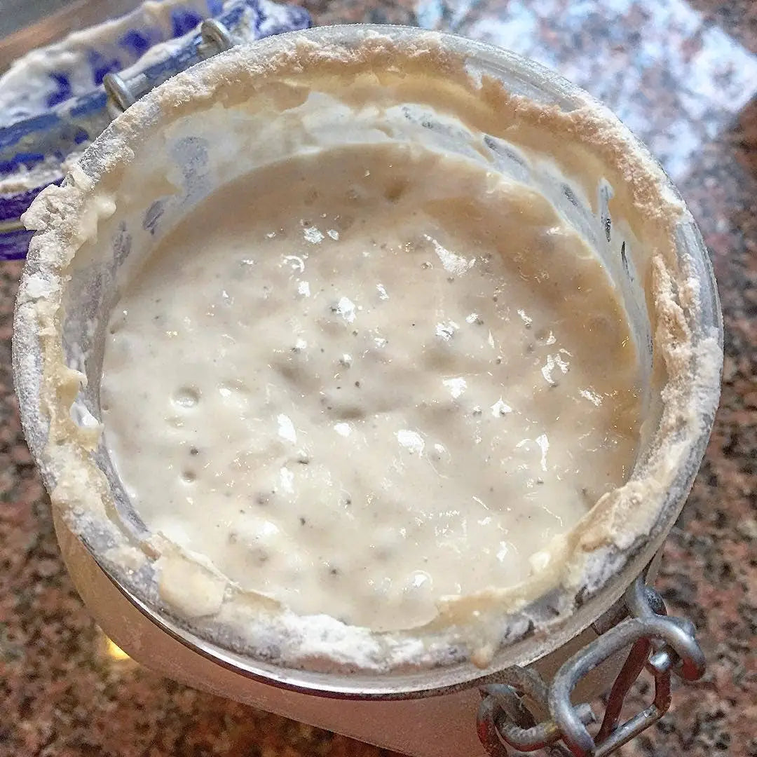 Bowl of sourdough starter cultured on tabletop