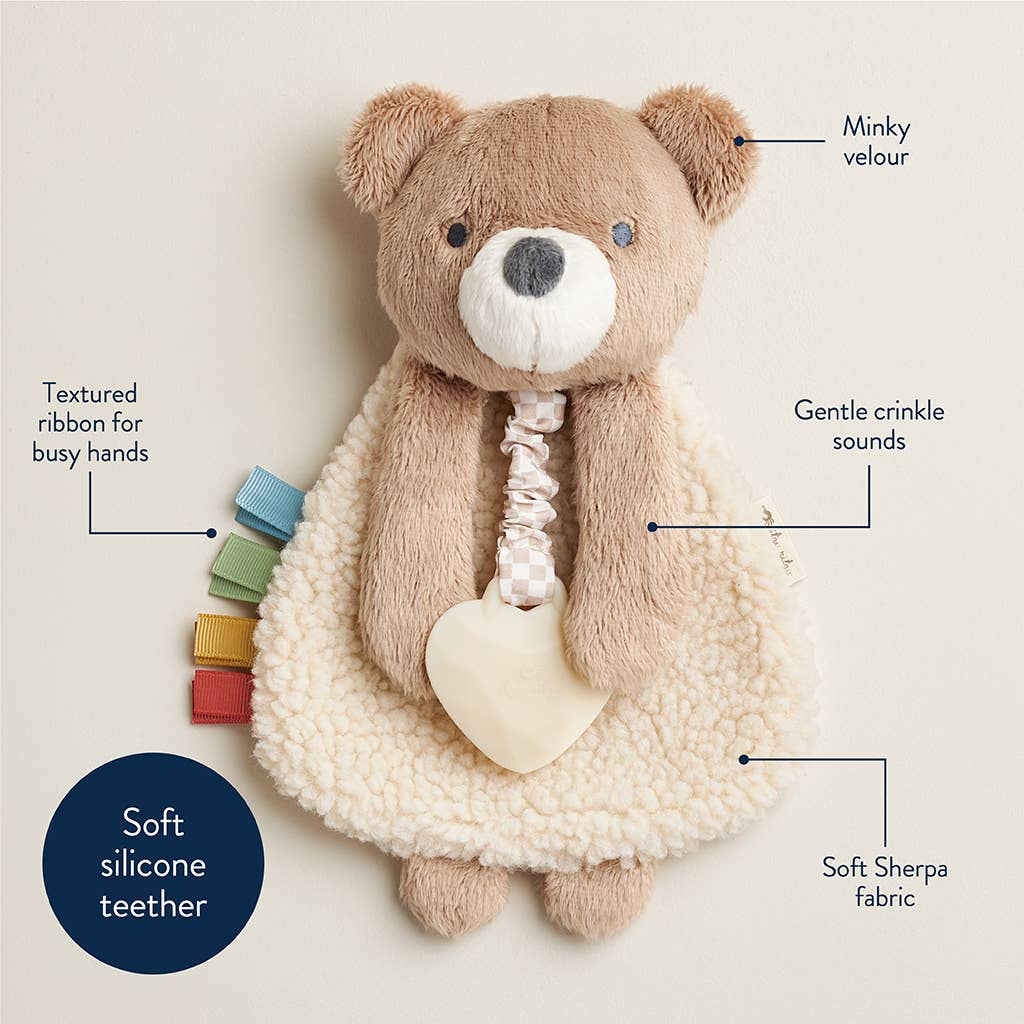 Plush toy bear with features labeled on a beige background