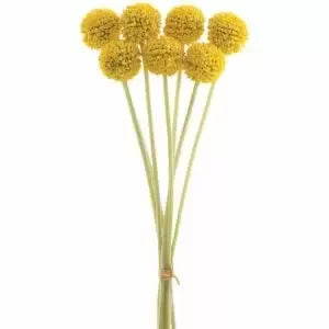 Billy Button Bundle 13" - Yellow