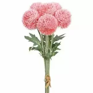 Globe Thistle Bundle 15" Pink