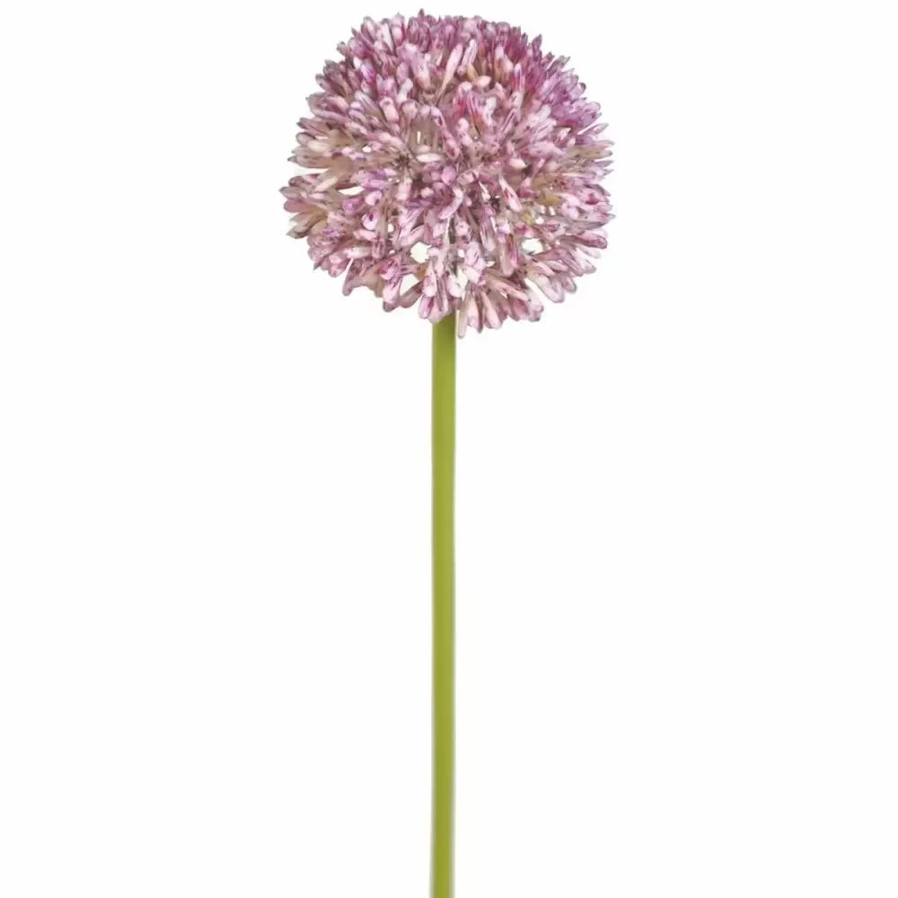 Allium Stem 17"