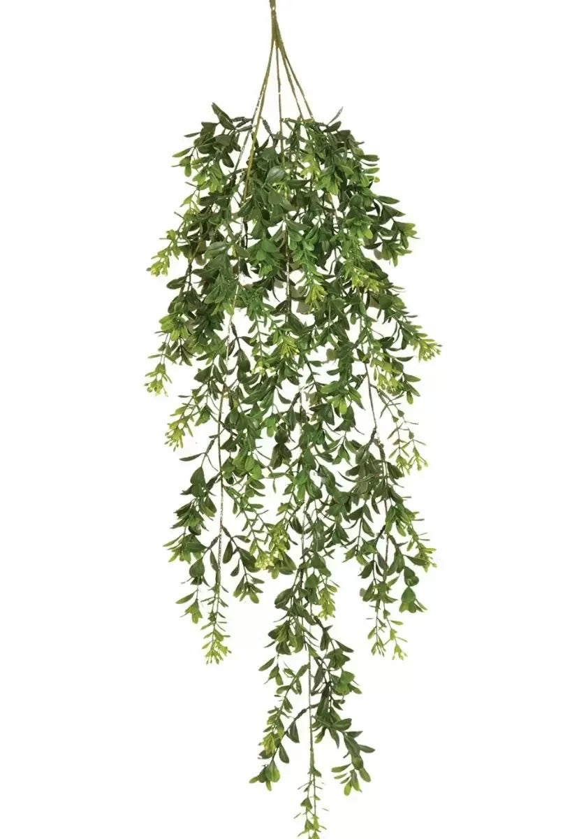 Hanging Boxwood Bush 32"
