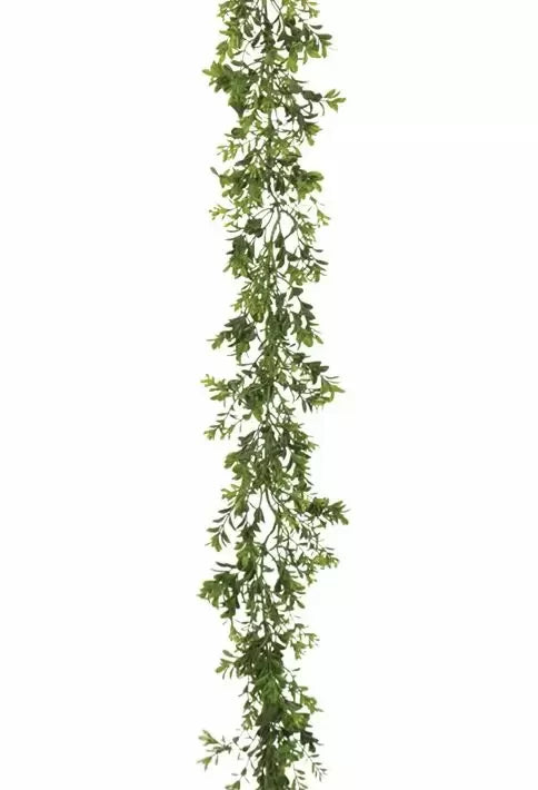 Boxwood Garland 6' Green