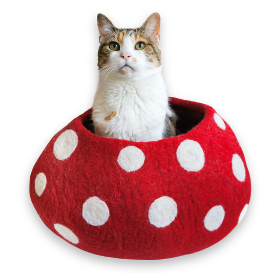 Cat sitting in a red polka dot cat bed on a white background