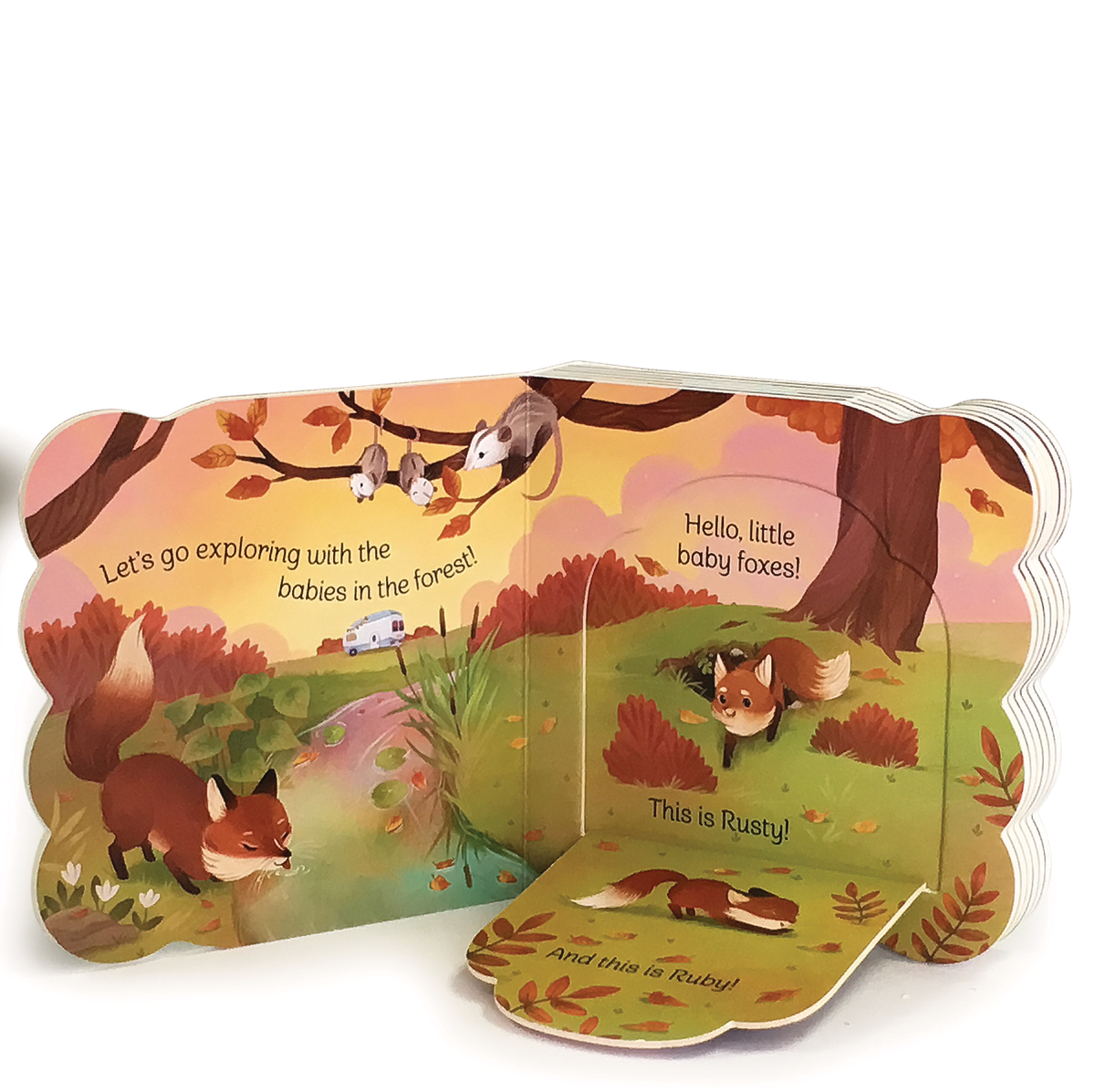 Children's book with fox illustrations on a white background