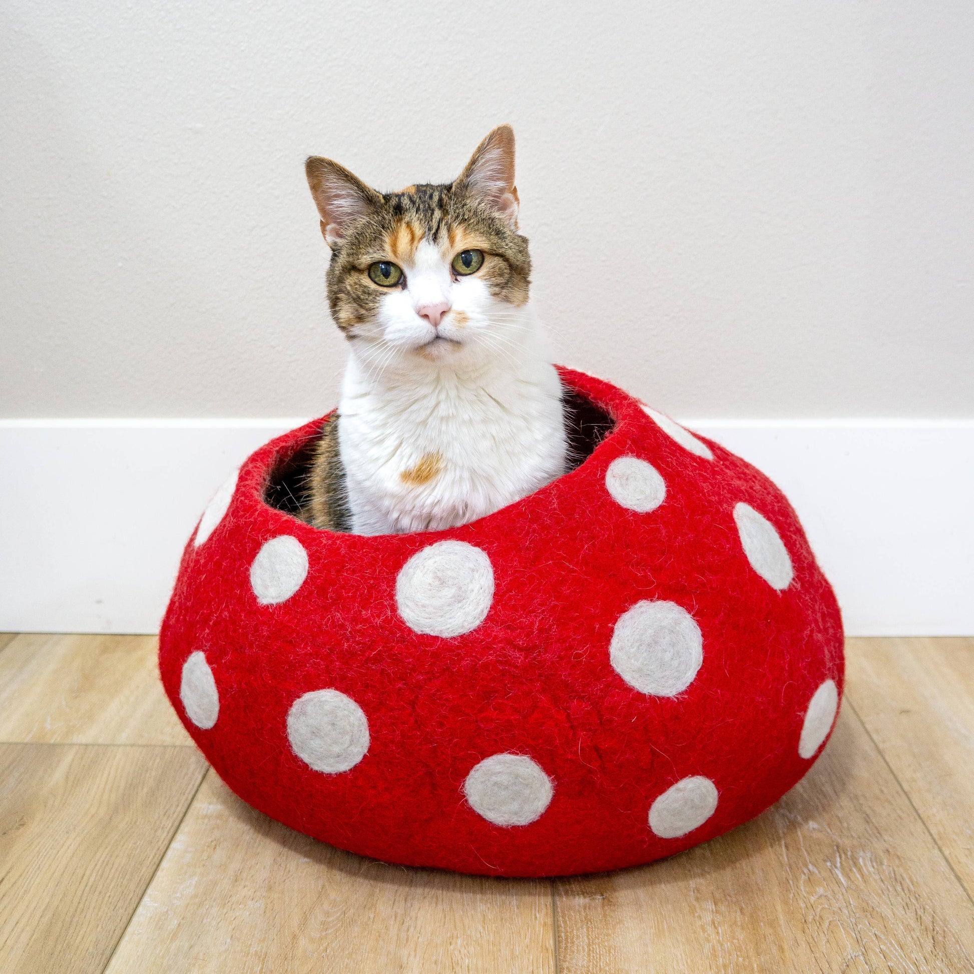 Cat sitting inside a red mushroom-shaped pet bed with white polka dots on a wooden floor.