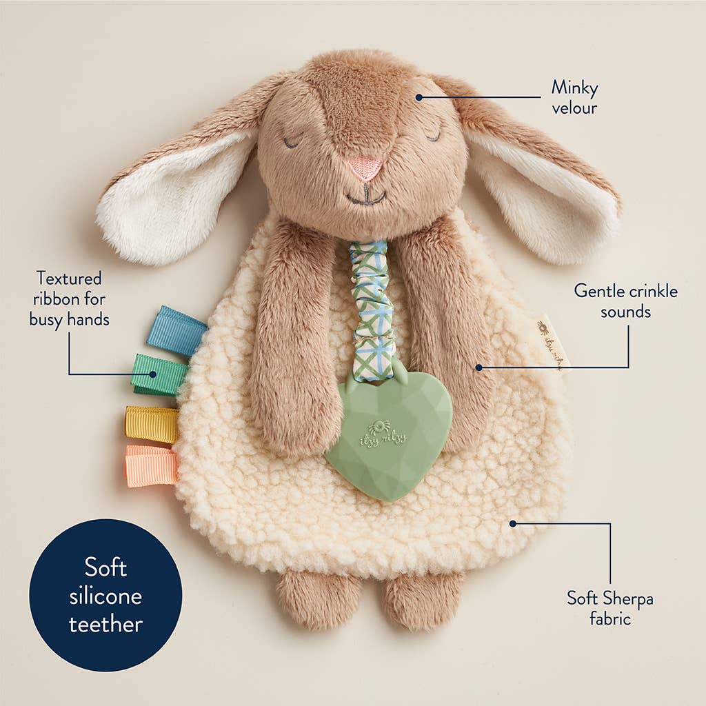 Plush bunny toy with features labeled on a beige background