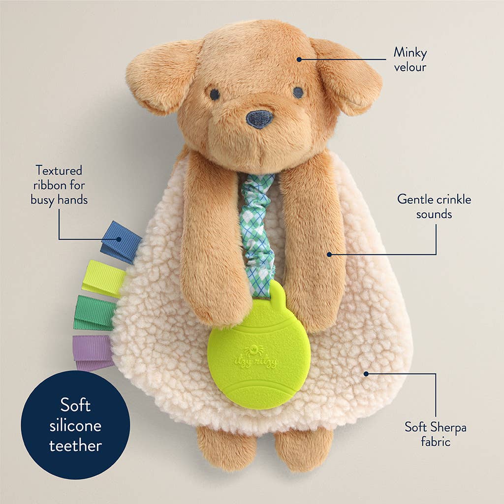 Dog-shaped toy with features labeled on a beige background