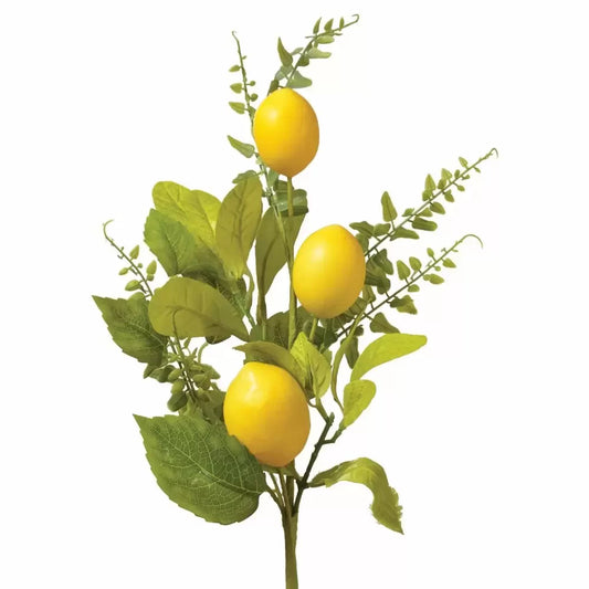 Lemon & Fern Spray 18"